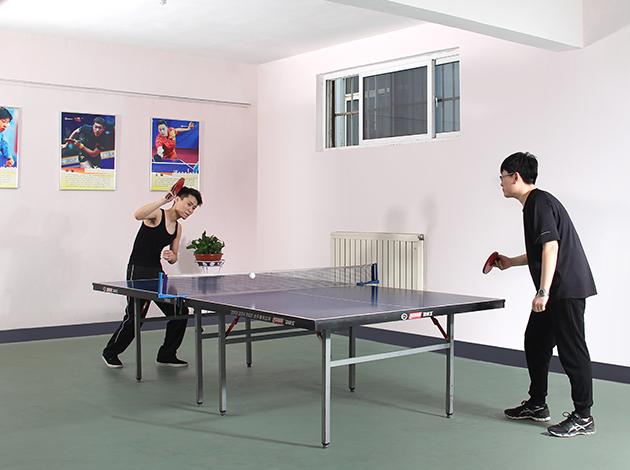 Table tennis room